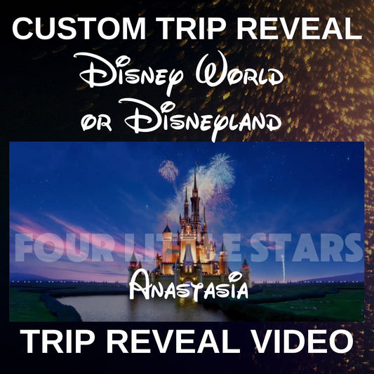 Disney Reveal Video, Personalized Trip Announcement, Disney World Reveal, Disneyland Surprise, Magical Vacation Video, Custom Disney Unveiling