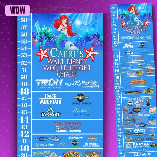 Walt Disney World Princess Ride Height Requirements Chart