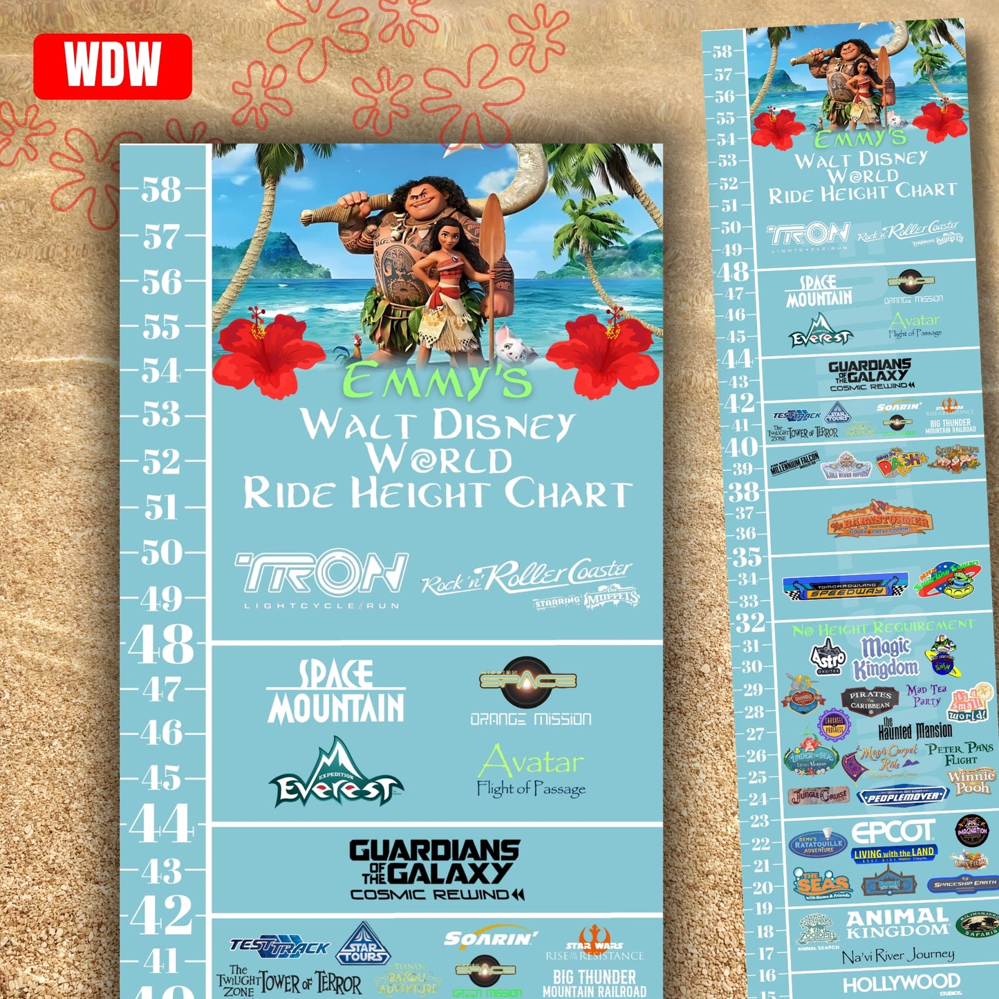 Walt Disney World Moana Ride Height Requirements Chart